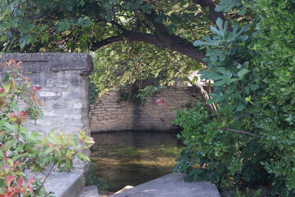 Apartmán Colombe LʼIsle-sur-la-Sorgue Exteriér fotografie